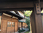 上野護国院の庫裏（くり）、旧歌舞伎座と旧鳩山邸を設計した<br>岡田信一郎の昭和建築の傑作です